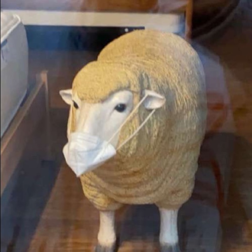 Meet your Posher, Peyton